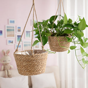 All In One Hanging Planter